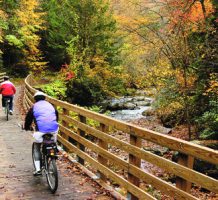 Bike downhill on Virginia’s Creeper Trail