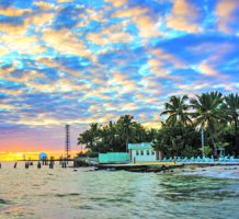 Exploring Key West’s wildlife and wild life