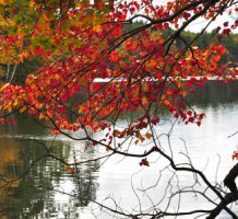 Bucolic Walden Pond and Concord, Mass.