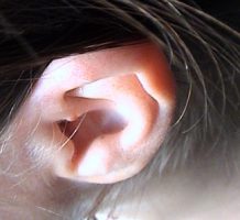 Research unlocks secrets of hearing loss