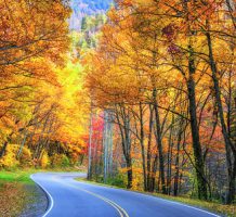 Where and how to enjoy fall foliage’s peak