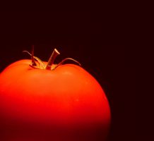 The facts about genetically modified food