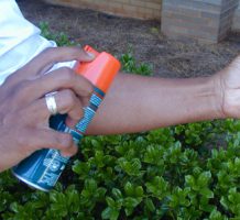 Ways to protect against mosquito bites