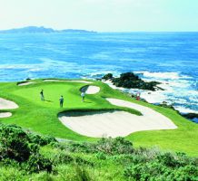 Monterey: natural and celebrity attractions