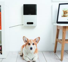 Tech lets you play with your pet from afar