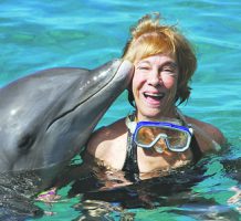 Swimming with dolphins and stingrays