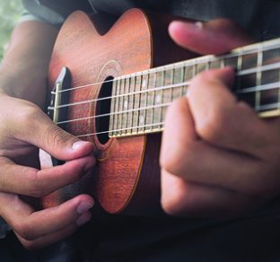 Ukuleles tiptoeing into music classrooms