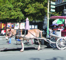 New Orleans: music, museums and meals