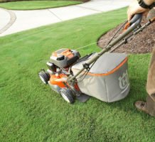 Lawn care of warm-season turfgrass