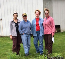 Garden clubs aim for sustainable beauty