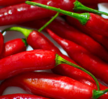 Hot chili peppers could help with chronic pain