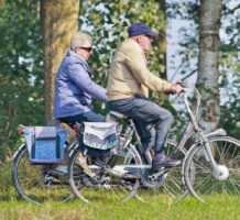 Electric bikes coming to a park near you