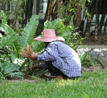 So many different benefits of gardening