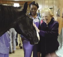 Horse therapy helps dementia patients