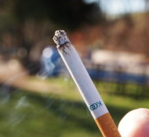 FDA endorses new low-nicotine cigarette
