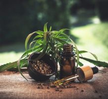 Efforts to bring CBD to senior housing