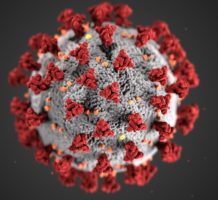 Coronavirus: What you need to know now