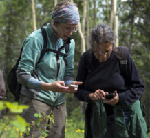 An app that answers ‘What’s that plant?’