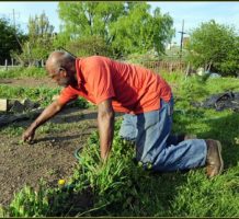 Gardeners: help yourself and others, too