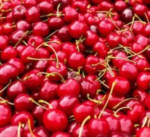 Tart cherry juice may improve your sleep