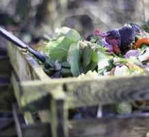 Some practical ways to reduce food waste