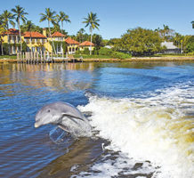 Paradise Coast: Naples and Marco Island