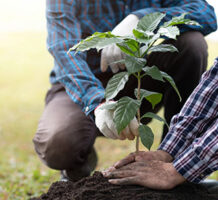 Products that can make gardening easier