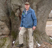 ‘Big Tree Man’ branches out