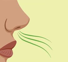 Poor sense of smell linked to depression