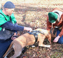 Truffle hunting in Virginia unearths new flavor