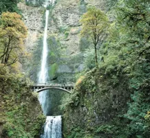 From roses to redwoods in the Pacific Northwest