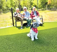 Find connection in community living