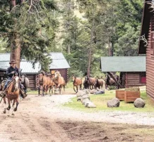 Wyoming dude ranch welcomes city slickers