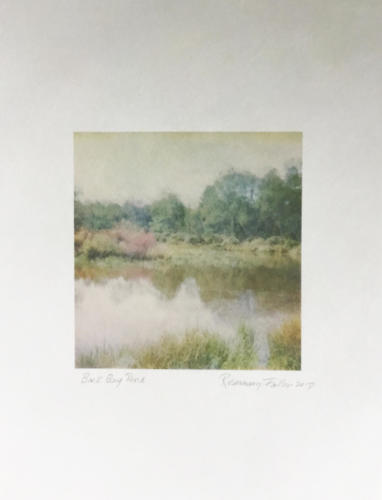 Back Bay Pond — Rosemary Fallon