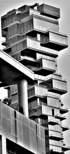 NYC Angles — Steven Ellis