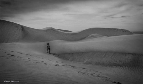 Nate's Solitary Walk in the Baja Dunes — Karen Sitnick