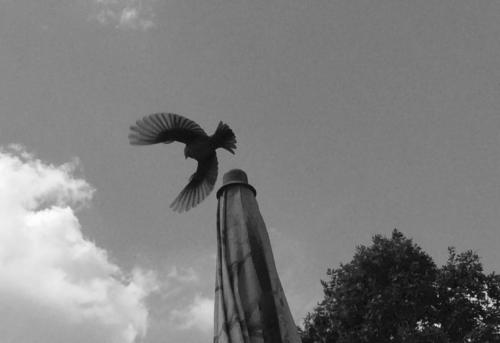 Take Flight — Jay Harden