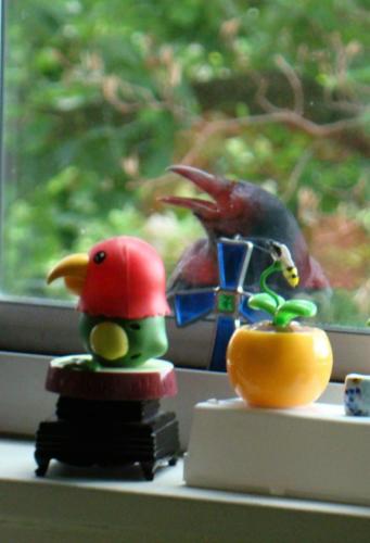 Singing Crow with New Friend — Pauline Anunciacion