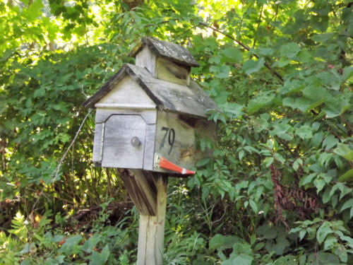 No Mail, No Bills — Barbara Parks-Lee