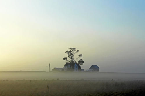 Foggy Morning Sunrise — Leslie Carson