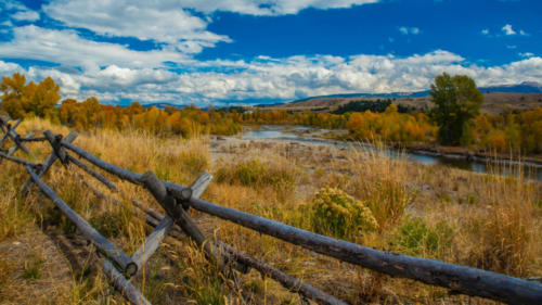 Fall Foliage Splendor — Carol Gregoire